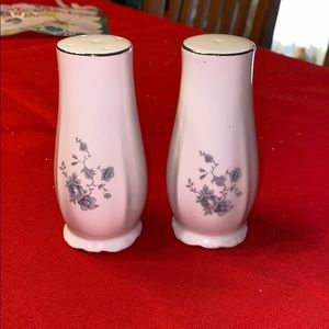 Johann haviland salt and pepper shakers